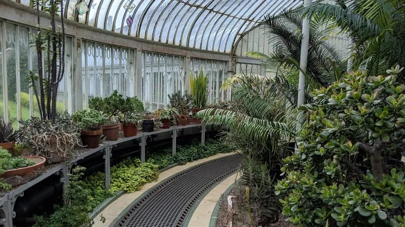 Jardin botanique de Belfast