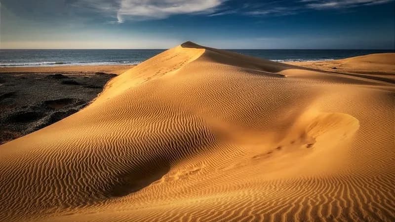 Naturschutzgebiet Dünen von Maspalomas