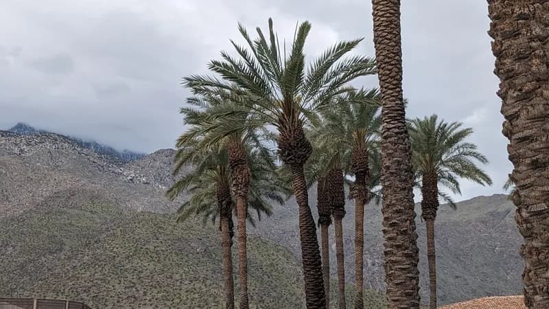 Palm Springs Convention Center