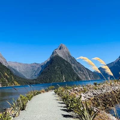 Milford Sound