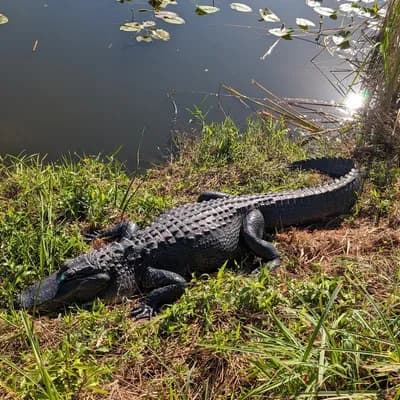 Everglades National Park