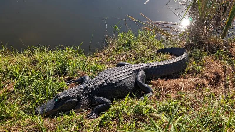 Everglades National Park