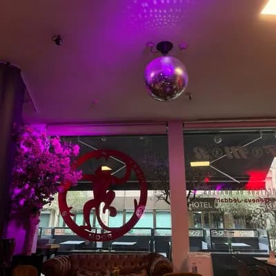 Funky Monkey Room