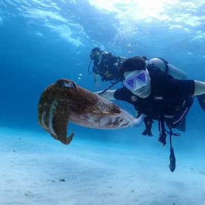 Super Divers Phuket