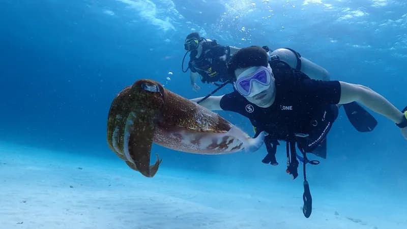 Super Divers Phuket