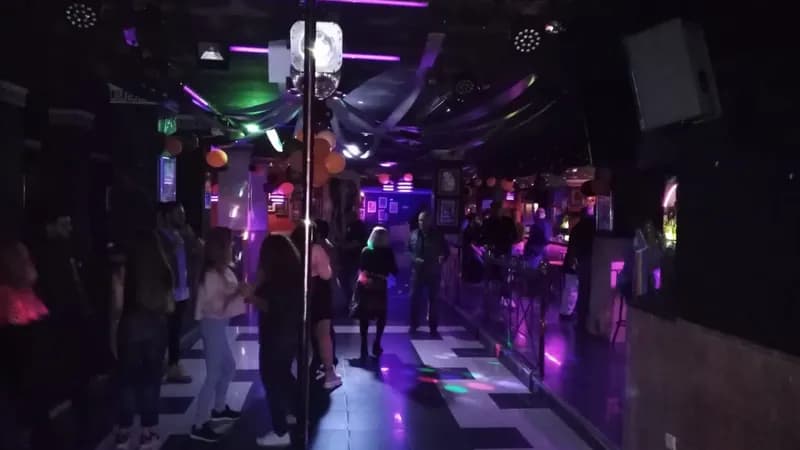 Zoo LGTB Disco
