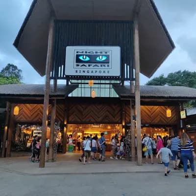 Night Safari
