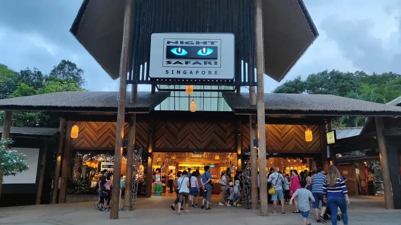 Night Safari