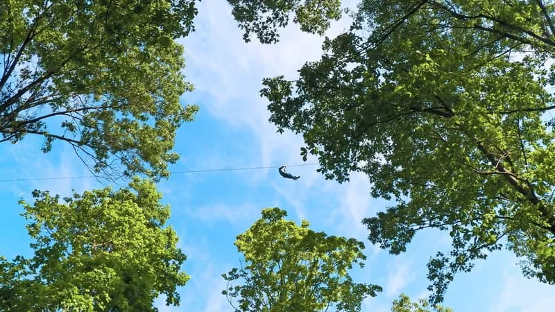 Grafton Zipline at Aerie's Resort