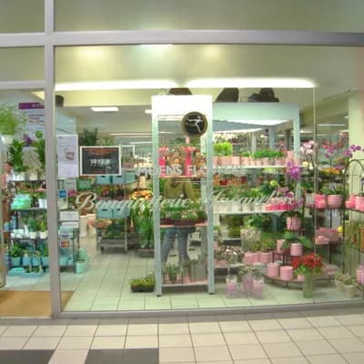Moens Flowers Leuven