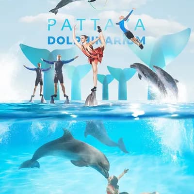 Dolphinarium Pattaya