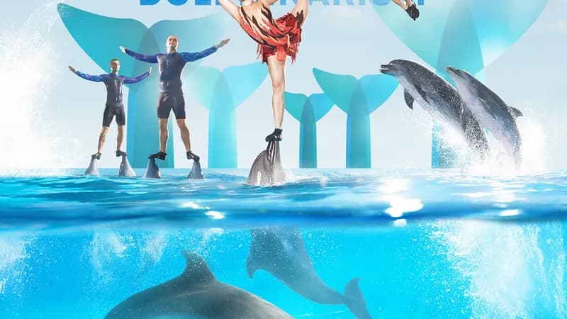 Dolphinarium Pattaya