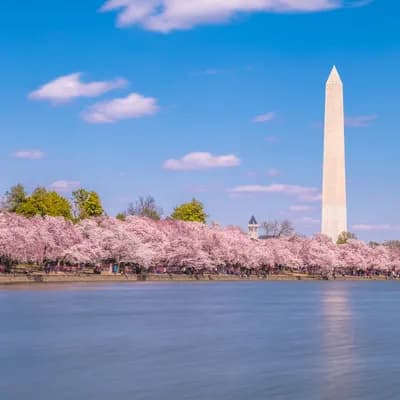 The National Cherry Blossom Festival Admin Offices