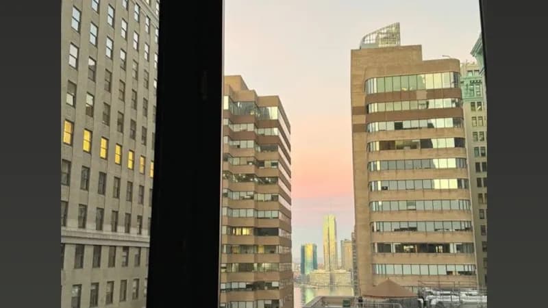DD.NYC®