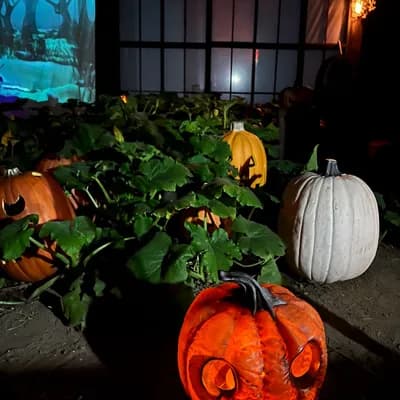 Spooky Hollows