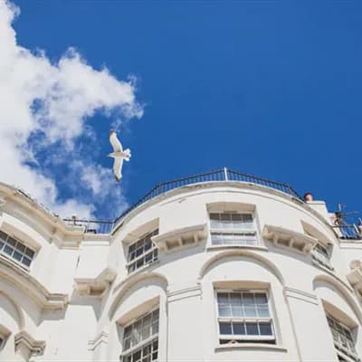 Drakes Hotel | A Curious Group of Hotels
