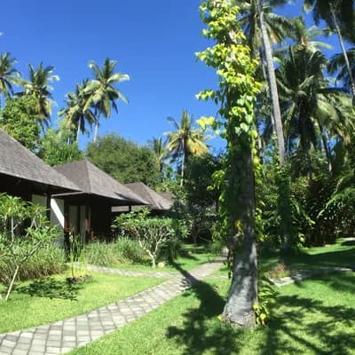 Bali au Naturel