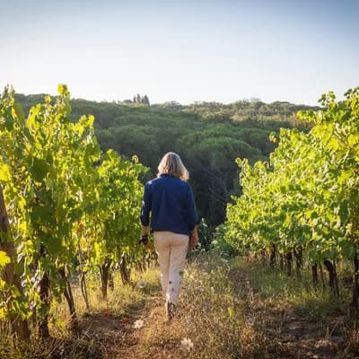 Fattoria Pomona