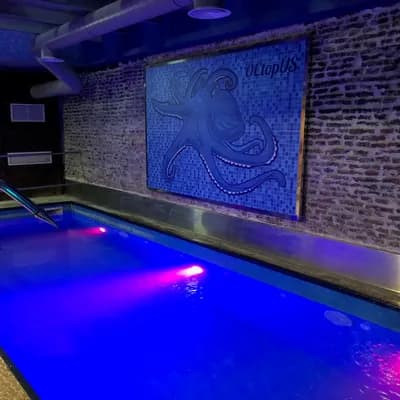 Sauna Octopus
