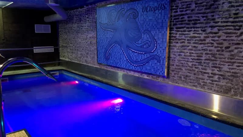 Sauna Octopus