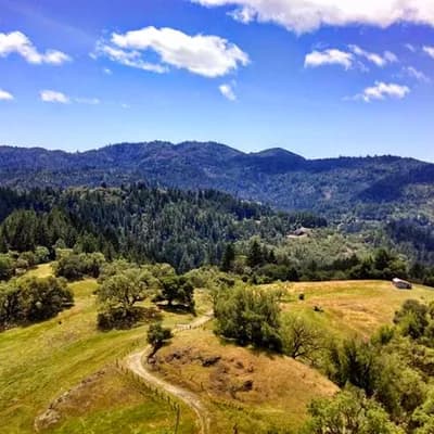 Wildwood Conservation Foundation