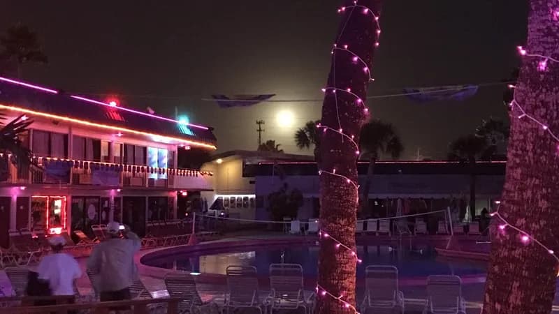 Flamingo Resort