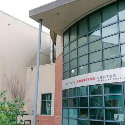 San Francisco SPCA Adoption Center