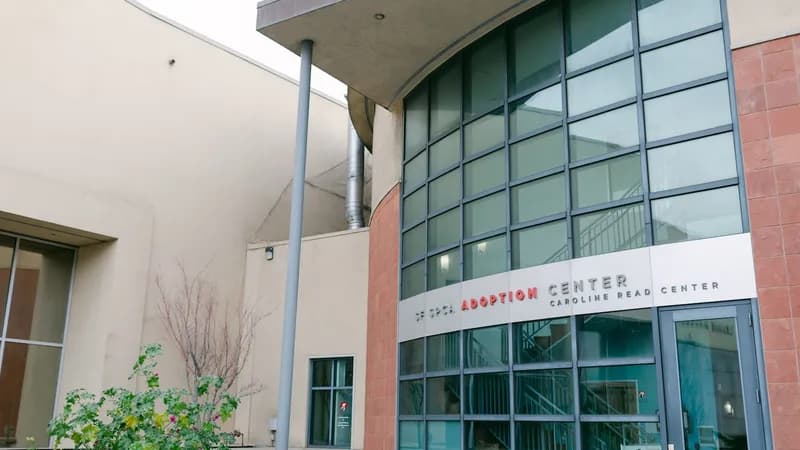 San Francisco SPCA Adoption Center