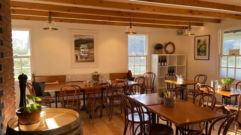 Pinot Junction