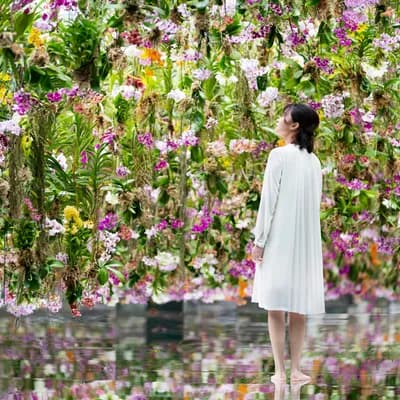 teamLab Planets