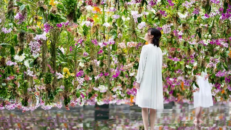 teamLab Planets
