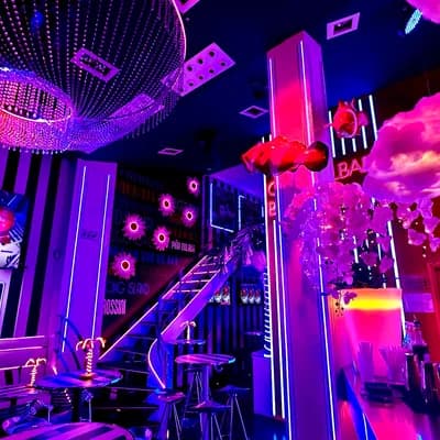 Plata Cocktail Bar