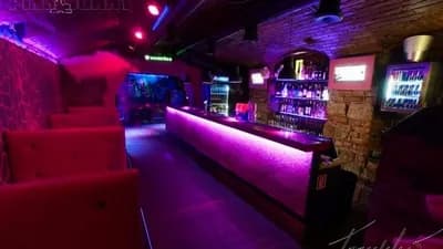 Pink Bunny Liberec