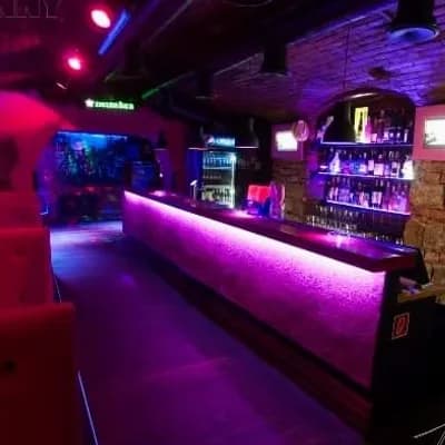 Pink Bunny Liberec