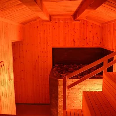 sauna Javali