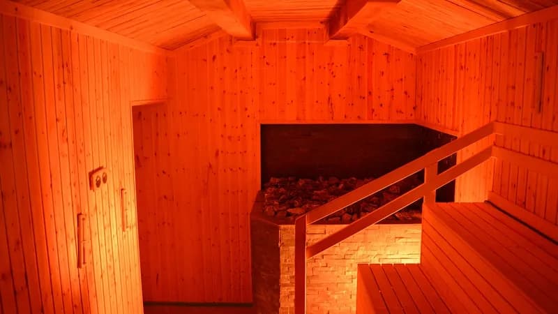 sauna Javali