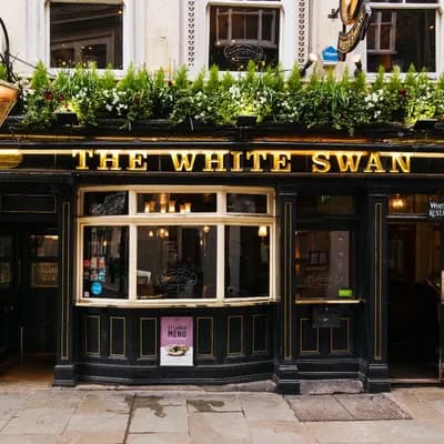 The White Swan