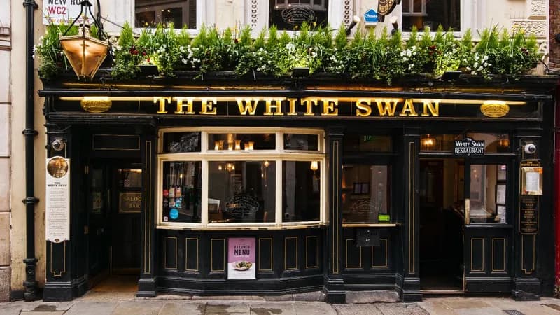 The White Swan