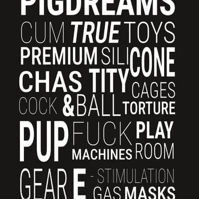 PIGDREAMS