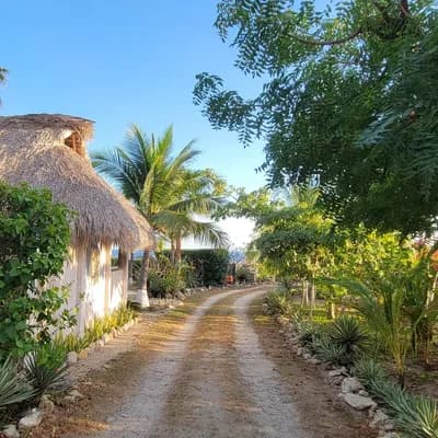 Ocean Oasis Hotel