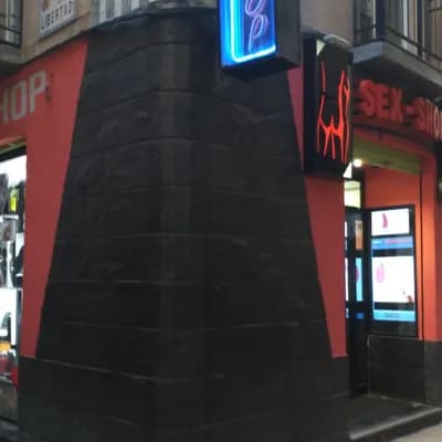 Sex-Shop Zaragoza Eurovisex