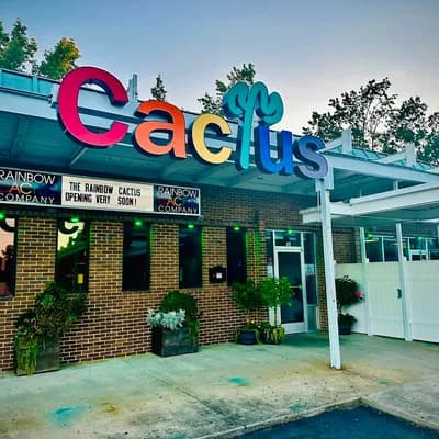 The Rainbow Cactus