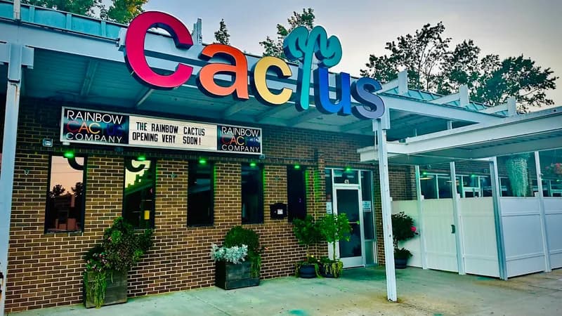 The Rainbow Cactus