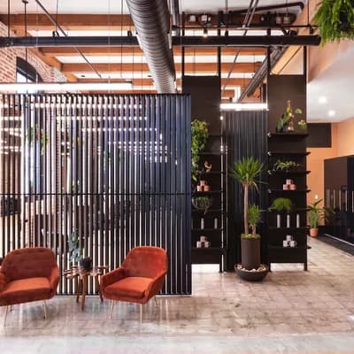 Anti-Gravity Salon