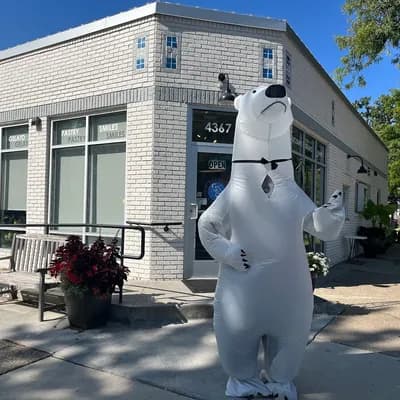 Dancing Bear Chocolate