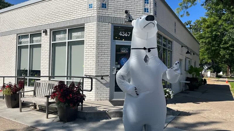Dancing Bear Chocolate
