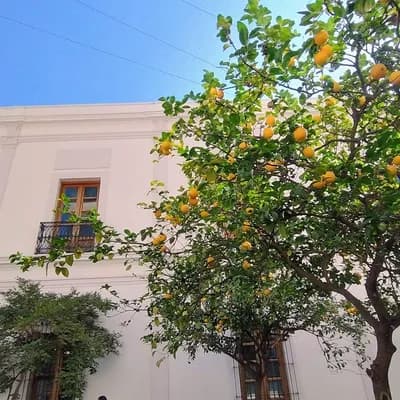 Del Carmen Concept Hotel