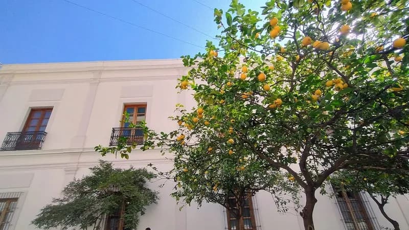 Del Carmen Concept Hotel