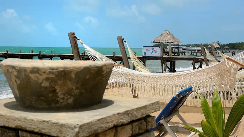 Parrot Cove Lodge