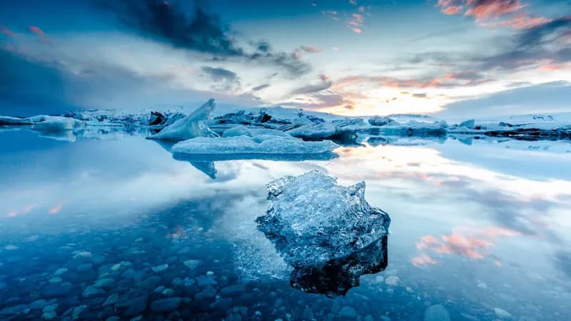 BusTravel Iceland